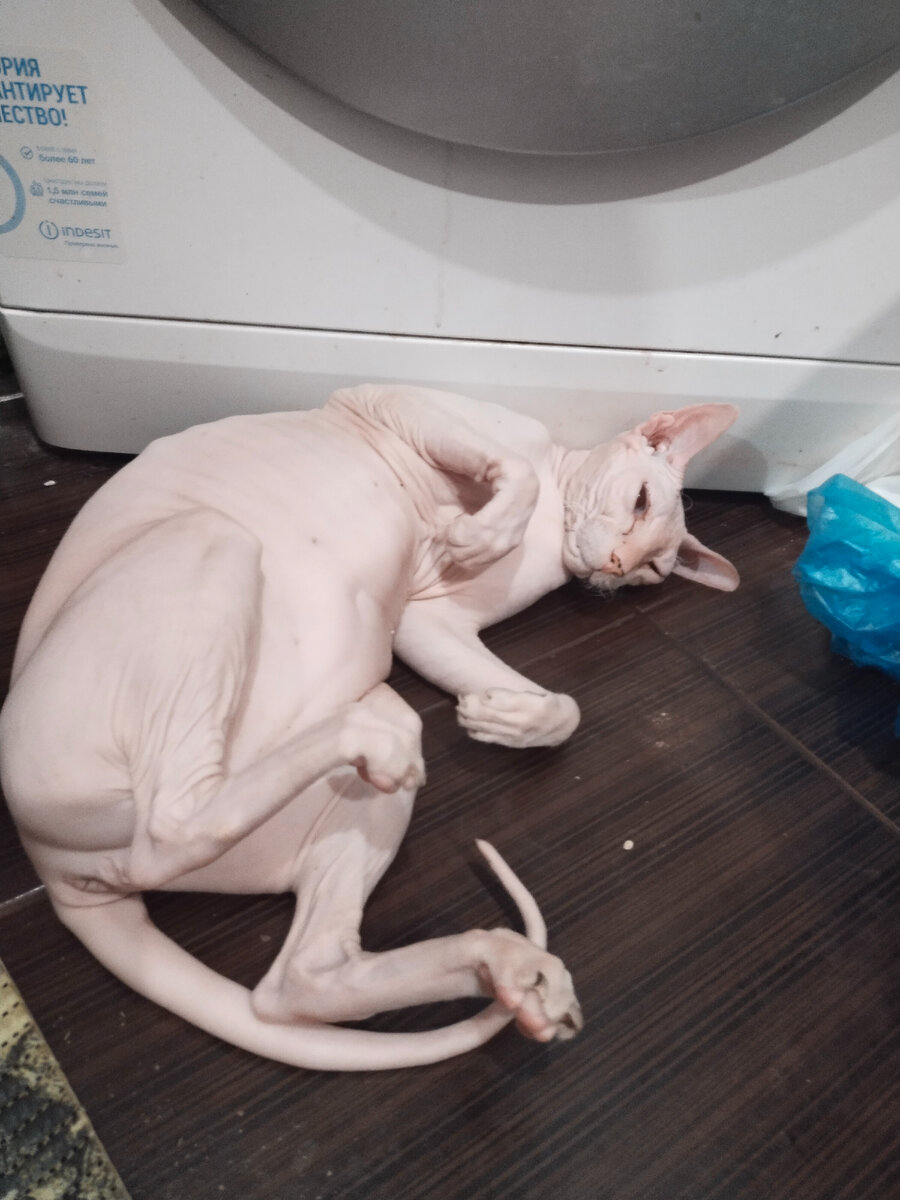 Фото из личного архива