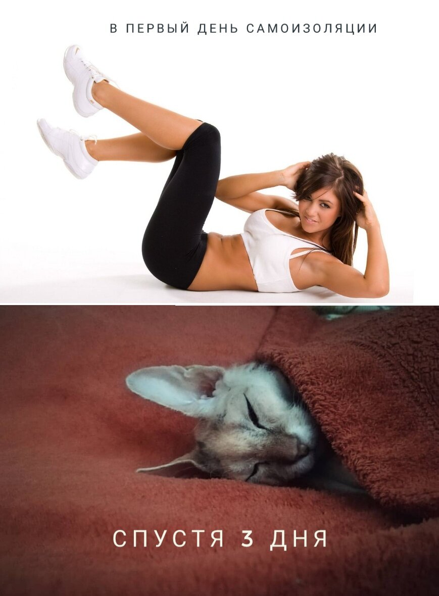 Коротко о моих планах))