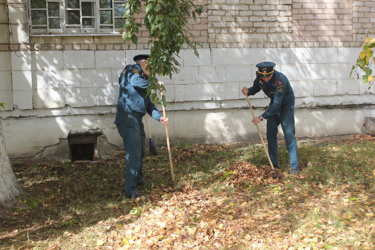 Личный состав Главного управления в г. Костроме убрал опавшую листву и сухие ветки вдоль ул. Индустриальной, собрал мусор и подмел тротуары в пешеходной зоне.