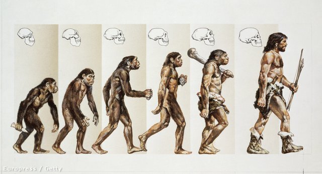 Дарвин против Бога? 5 заблуждений о теории эволюции | Беседы о религии |  Дзен