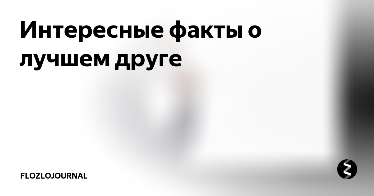 + вопросов викторины о лучшем друге, чтобы проверить свою лучшую подругу в году - AhaSlides