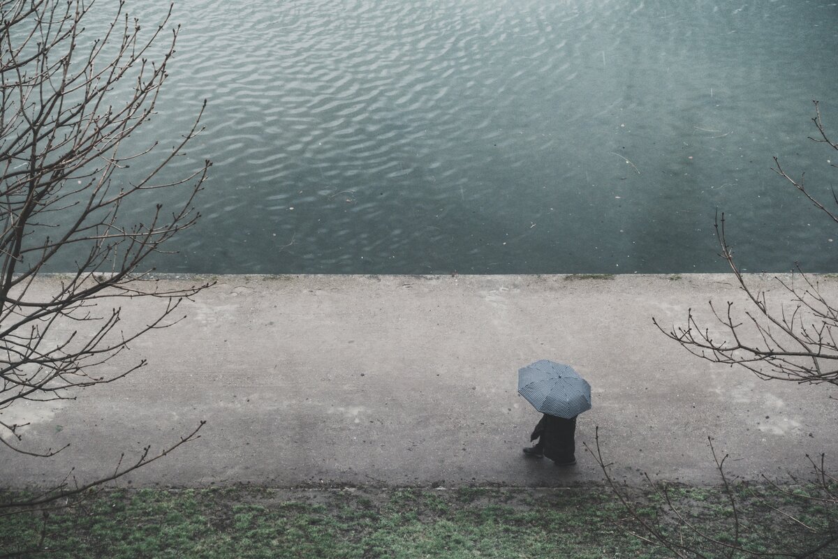 Photo by Daniel Hansen on Unsplash