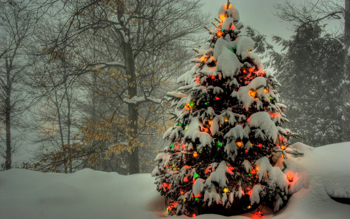 Фото - wallbox.ru