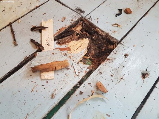 Прогнившие доски пола