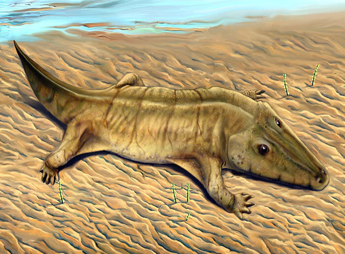 Ветлугозавр