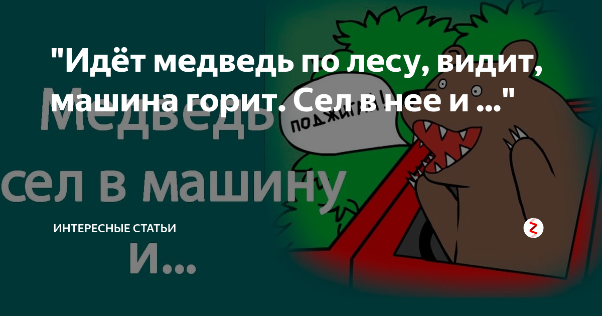 Медведь и сгоревшая машина