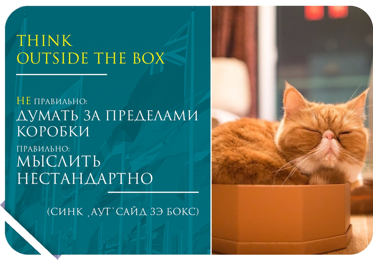 Я думаю что перевод