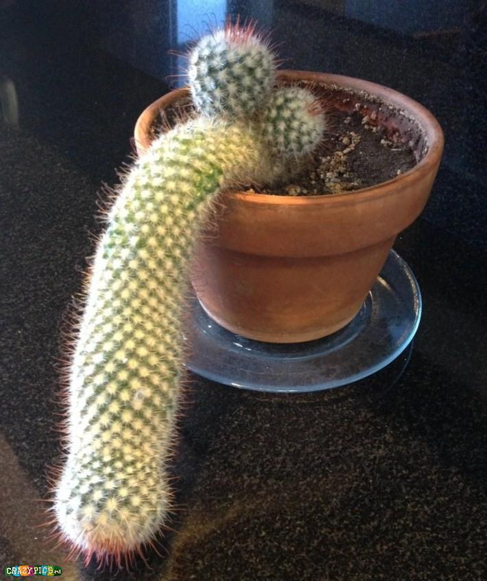 фото с https://kak2z.ru