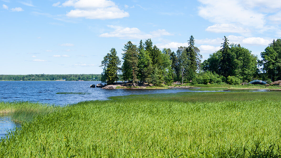 Восточная часть