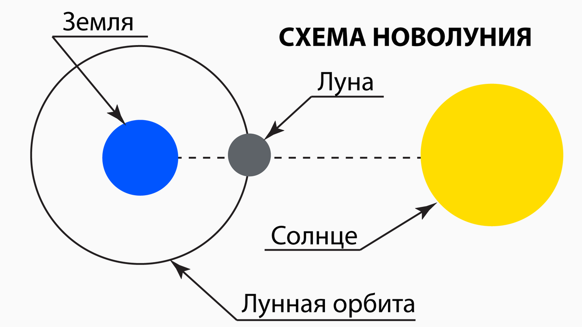 На рисунке показано расположение солнца земли и луны в некоторый момент времени