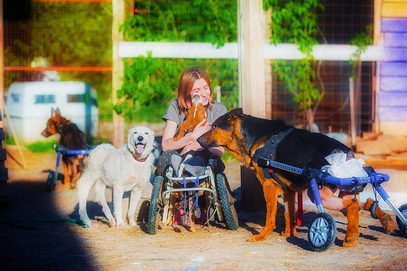   Даша и её "дети"