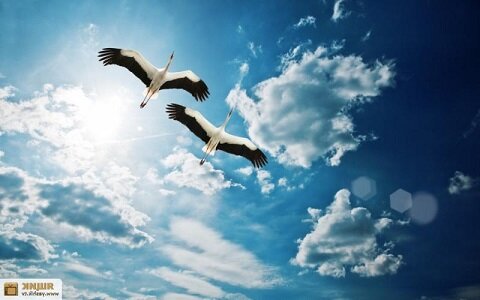 фото взято с просторов инета. Благодарю автора за снимок.