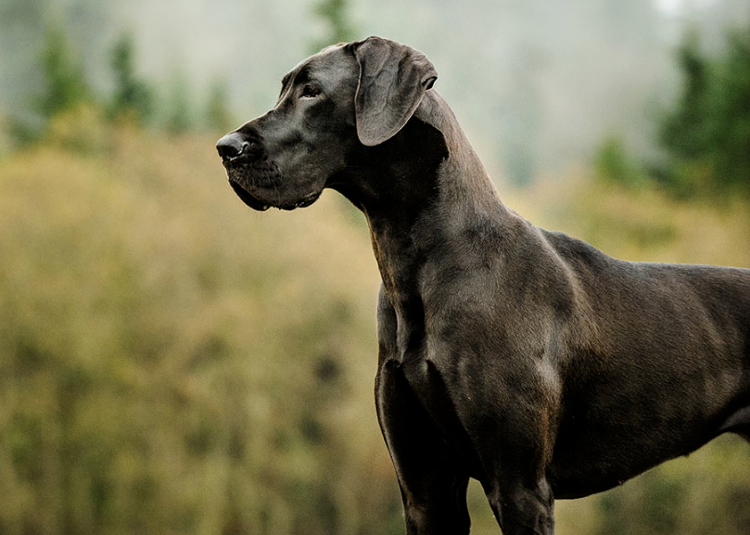палец вверх чернышу! 😌