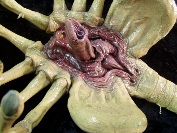 Вход в корабльМодель лицехвата