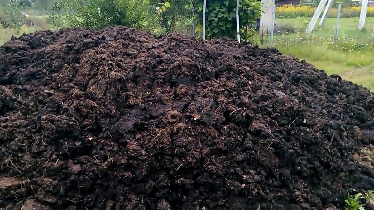 Картинка навоз перегной