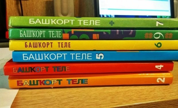 «История с выбором родного башкирского языка в школе для моего сына оборачивается для меня и для него настоящим кошмаром». Фото ufatime.ru