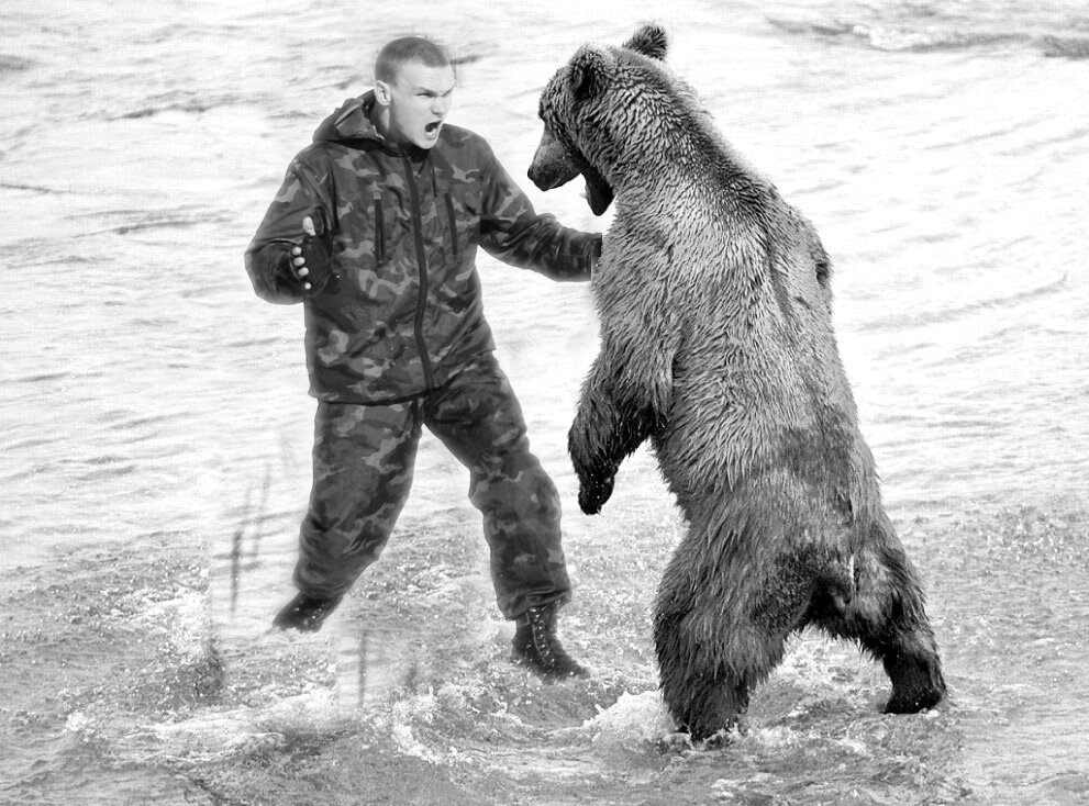 Медведь нападает на человека рисунок