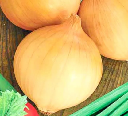 Лук Эксибишен