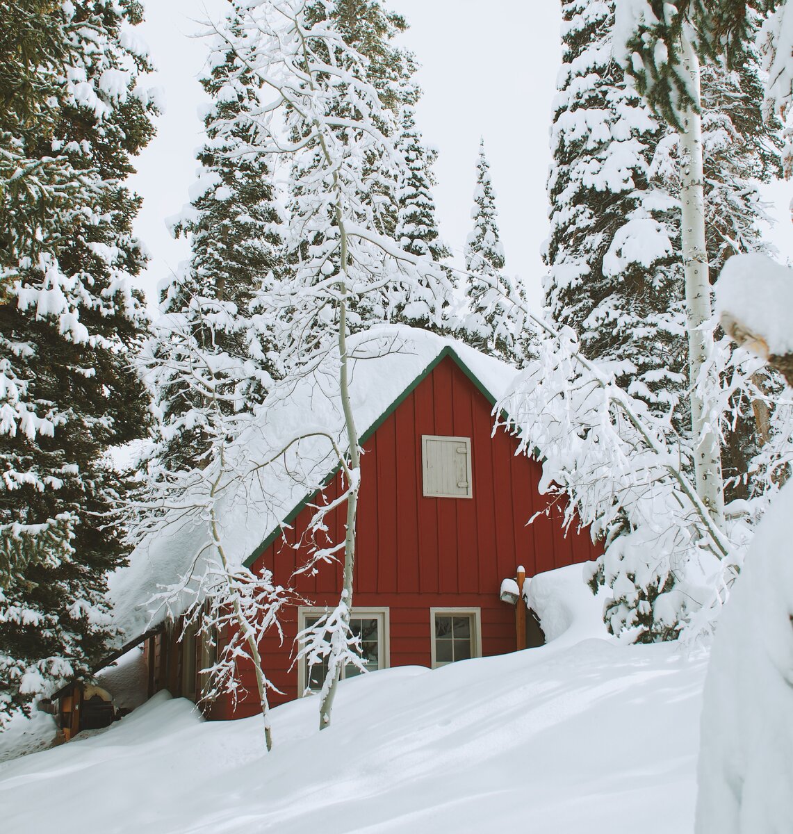 Фото с сайта https://unsplash.com/