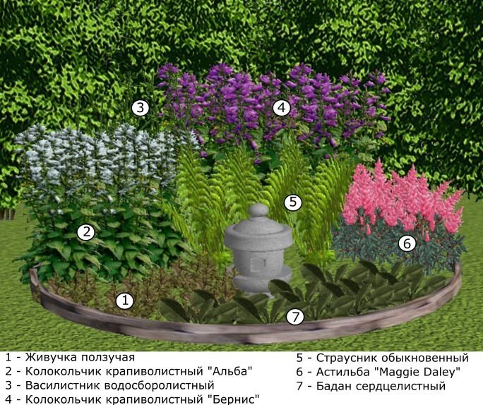 Схема клумбы для полутени (август)