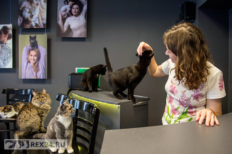 Фото: rapsinews.ru