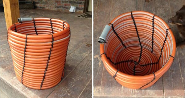 Фото: https://www.botanichka.ru/wp-content/uploads/2015/12/hose3-1.jpg