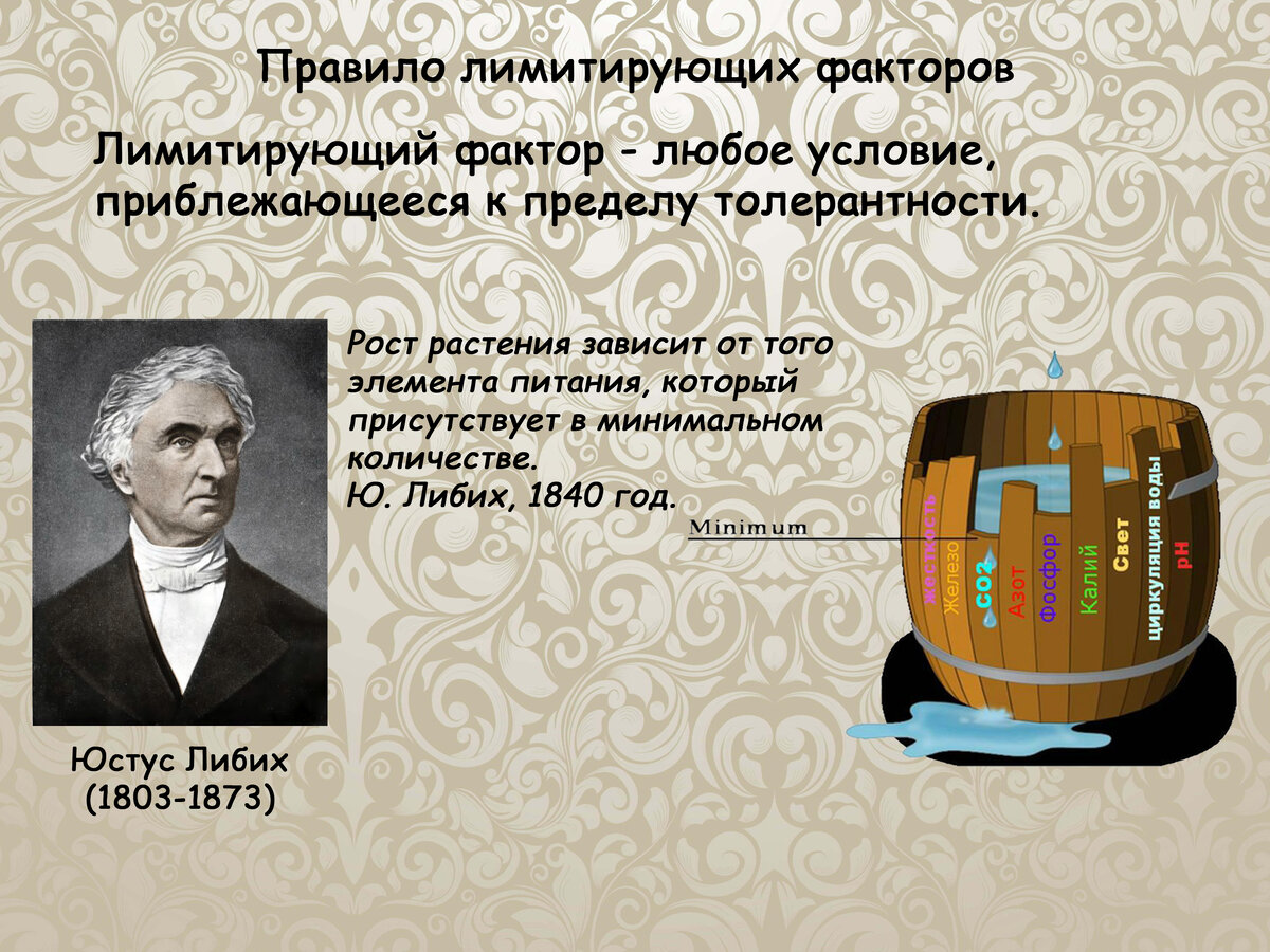 Наглядным изображением какого закона земледелия является бочка добенека