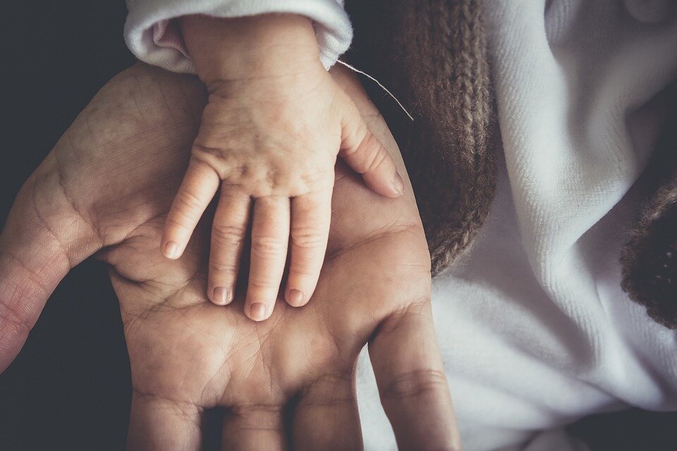 Фото:pixabay.com малыш, рука, мама