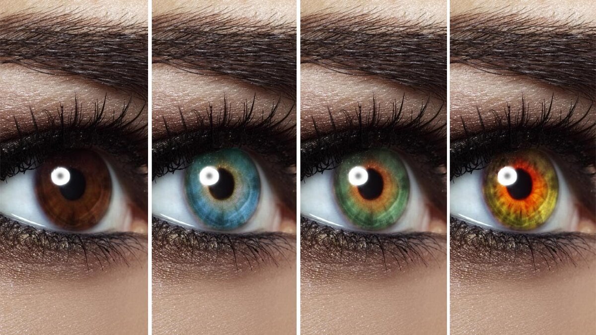 Каждый человек имеет неповторимую окраску радужки глаз. Именно это натолкнуло психологов и исследователей заняться изучением взаимосвязи между цветом глаза и характером человека.
