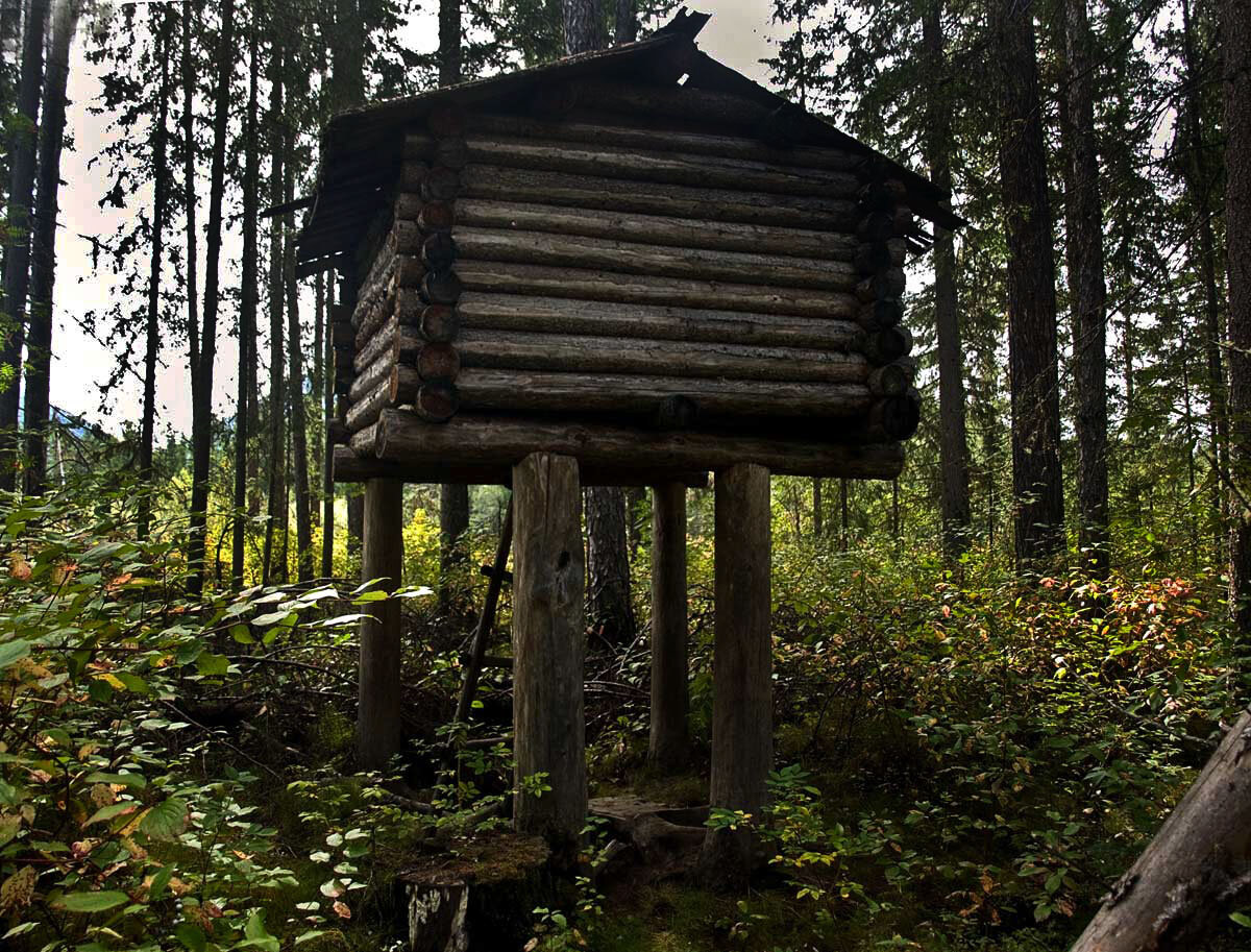 Фото Виктора Калинина 2010 г. Сайт http://nature.baikal.ru/phs/ph.shtml?id=73797 