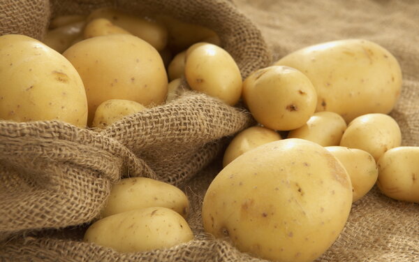 6 лучших сортов картофеля для пюре