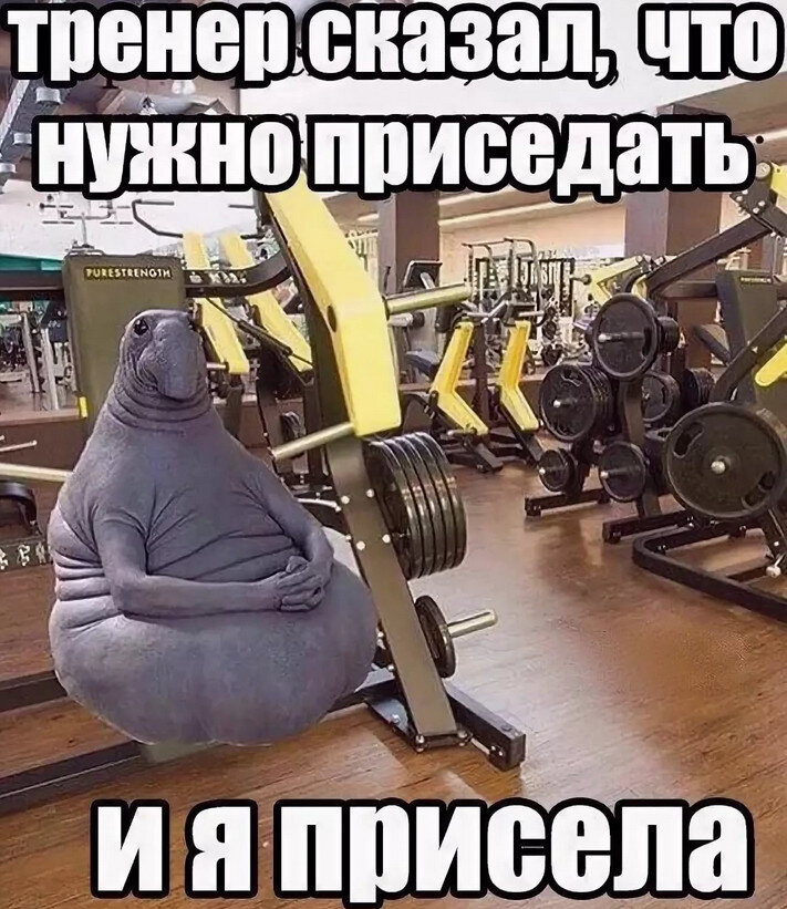 Если у вас получится найти тренера, за плечами которого подготовленные мастера спорта или МСМК, то можете смело доверить такому человеку свою подготовку. Но помните, что саморазвитие и самообучение ускорит процесс развития. 