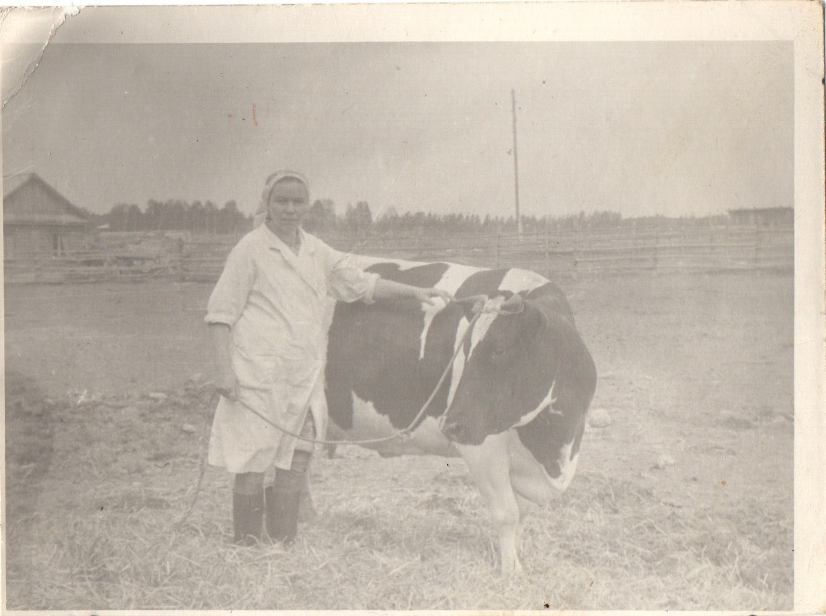 Нисютина Нина Михайловна 