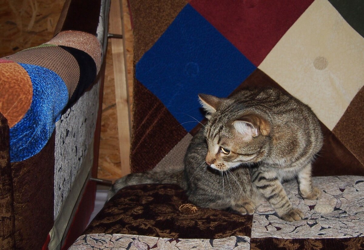 Что-то увидел