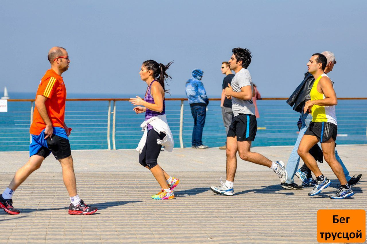 Из Яндекс картинок   