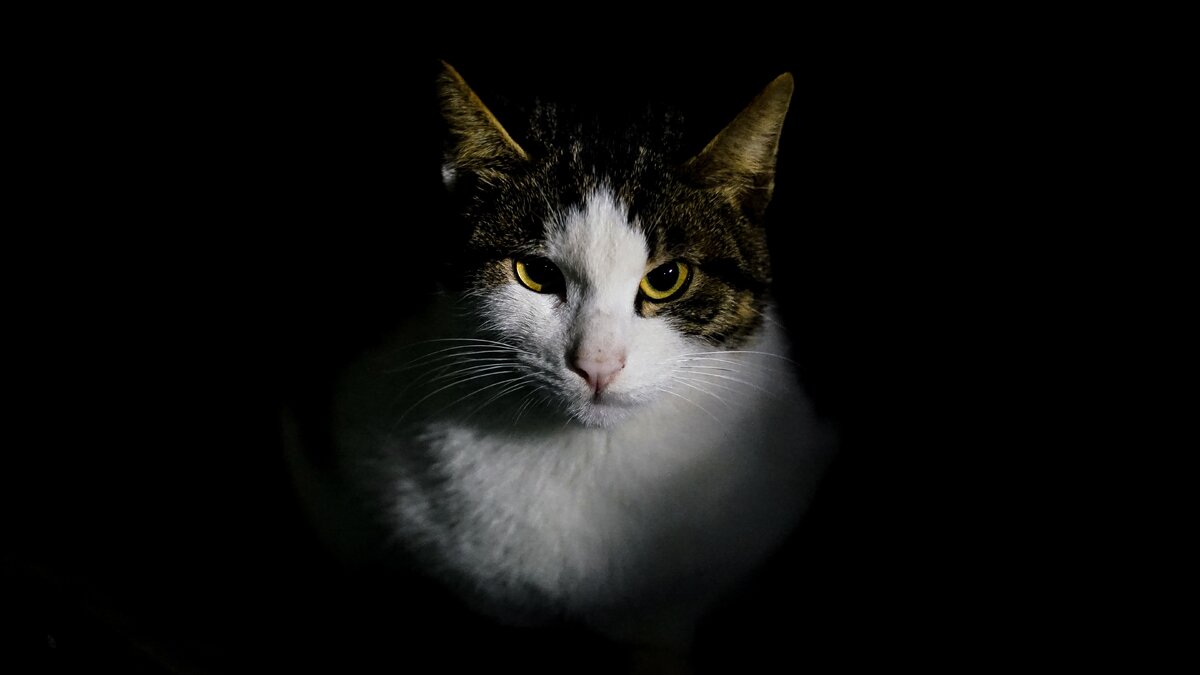 Фото Стива на Unsplash