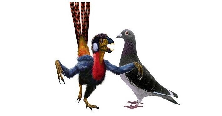 Когда пьяный друг в клубе нарывается на драку и ты в это время... 