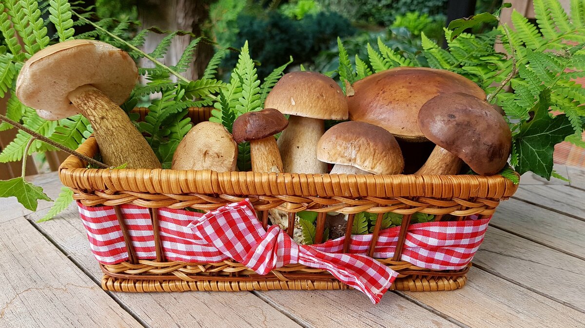 Изображение cocoparisienne с сайта Pixabay 