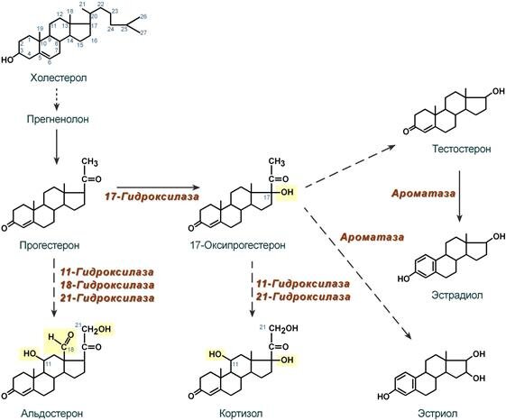 Фото взято из открытых источников.