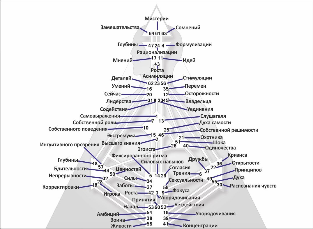 Human Design (Дизайн Человека). Двойная Определенность