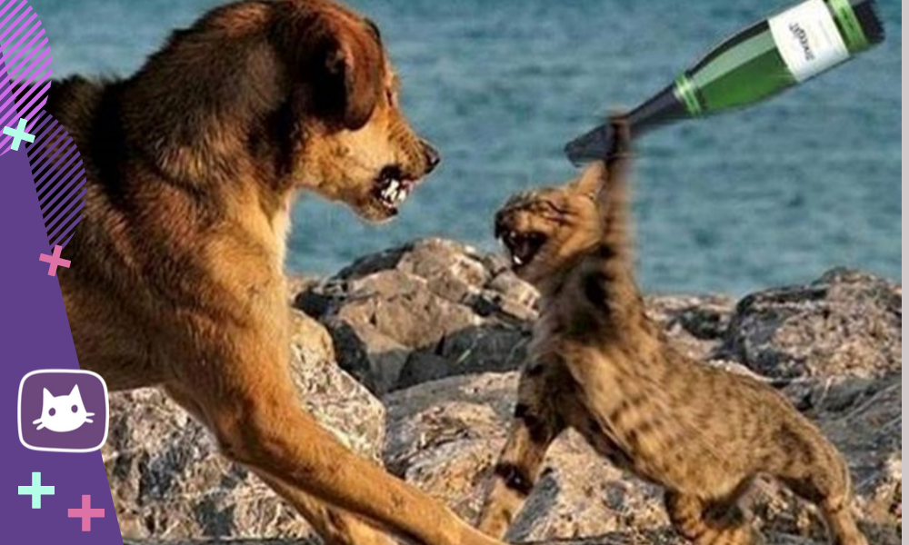 Занятия специальными тренировками для сохранения активности