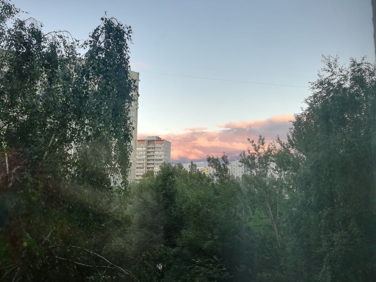 Ох уж это эхо