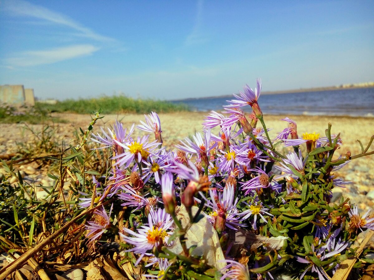 Яркие краски у озера