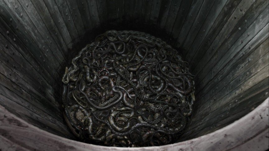 Змеиная яма