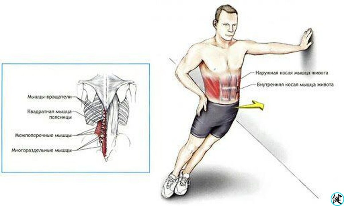 Потянула мышцу поясницы. Растяжка квадратной поясничной мышцы упражнения. Квадратная поясничная мышца растяжка. Надрыв мышцы живота сбоку. Косые мышцы живота растяжка.