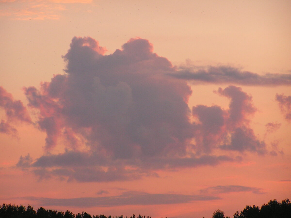 Фото из архива автора