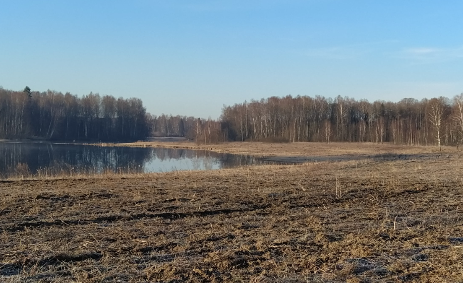 Уровень воды в прудике меньше нормы где-то на полметра. Ну не было паводка в этом году. А деревня... деревня была буквально у меня под ногами.