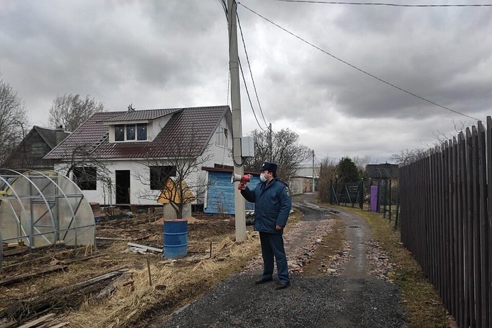 фото с сайта news.myseldon.com