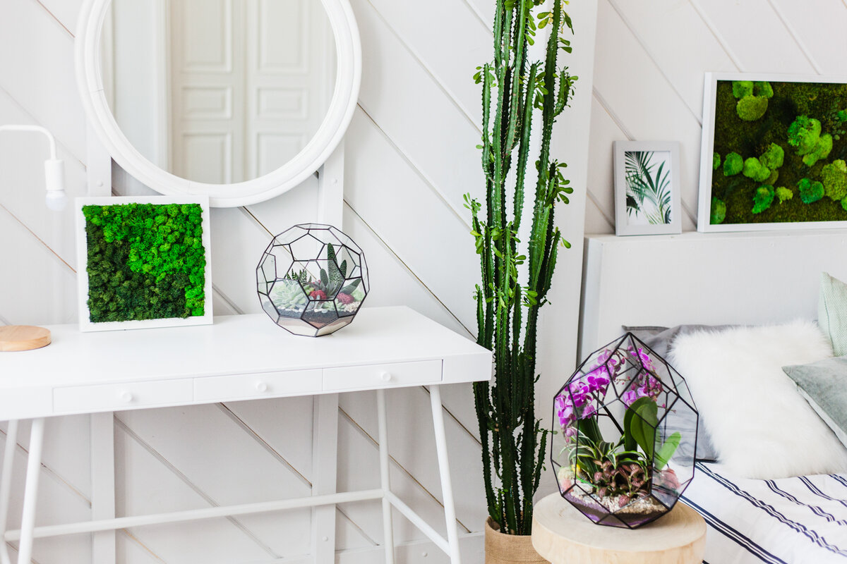 Флорариумы и фитокартины "Fitomir Decor"