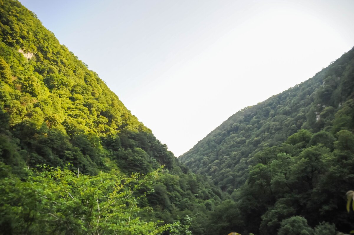 Идем по ущелью, уже где-то в середине. Оборачиваемся - две горы, которые наводят на мысль что мы уже отрезаны от города и попадаем будто в другое измерение. Вокруг сплошная зелень, где-то выглядывает из этой зелени выглядывает скала. Глядишь вниз - и там зелень, кусты покрытые мхом. Находясь здесь уже чувствуется умиротворение. И чем дальше тем сильнее это чувство